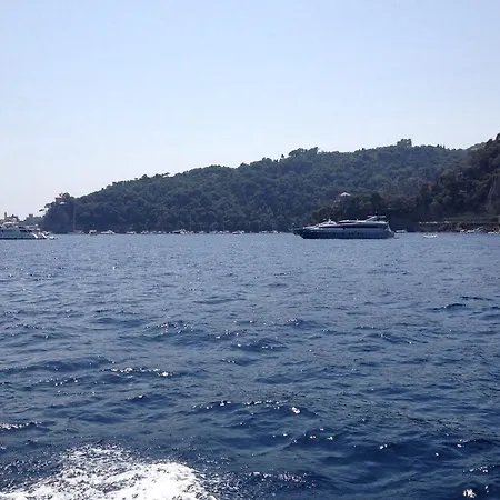 Happy Island